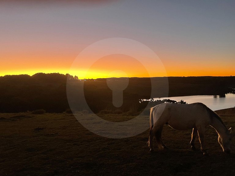 Panoramic Cabin in the Highlands